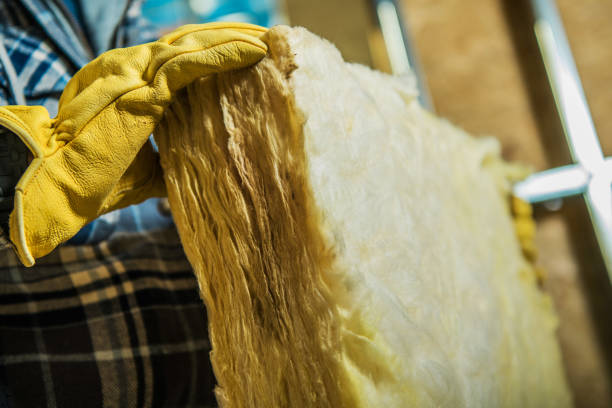 Best Insulation Maintenance and Repair in Craig, CO